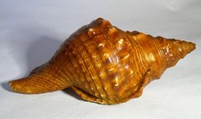 Lampe céramique art d'occasion  Avignon