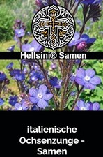 Italienische chsenzunge anchus gebraucht kaufen  Schwabach