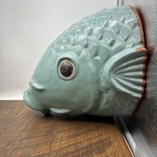 Turquoise koi fish for sale  Plant City