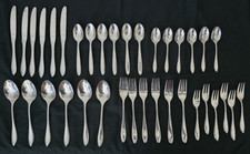 Set silverware stainless for sale  Green Cove Springs