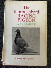 Thoroughbred racing pigeon for sale  BIRMINGHAM