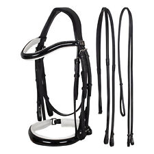Briglia equestro dressage usato  Italia