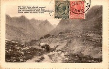 Cartolina regno 1921 usato  Piacenza