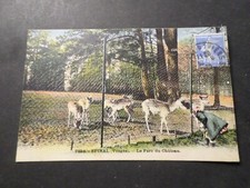 CPA 88 Epinal, Parque Del Castillo, Animales, Gamo, VF Tarjeta Postal comprar usado  Enviando para Brazil