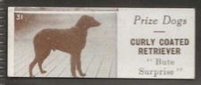 Sharps prize dogs for sale  COLNE