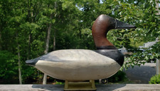 1900 canvasback decoy for sale  Southampton
