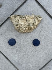 Tunze frag rock for sale  CLACTON-ON-SEA