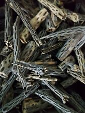 Cholla cactus wood for sale  CREDITON