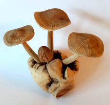 Deko pilze holz gebraucht kaufen  Stegen