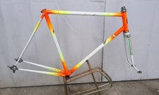 Fiorelli corsa acciaio usato  Dalmine