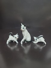 kittens 2 family for sale kittens 2 family for sale Green River