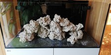 Reef rocks natürliches gebraucht kaufen  Reinheim