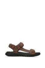 Timberland sandali uomo usato  Castel San Pietro Terme