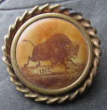 Pan american exposition for sale  New Milford