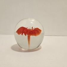 Fenton glass paperweight for sale  DALTON-IN-FURNESS