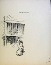 Old antique print for sale  UK