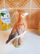 waxwing for sale waxwing for sale WOLVERHAMPTON