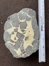 Utah septarian nodules gebraucht kaufen  Remseck am Neckar