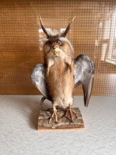 Wolpertinger standfesten podes gebraucht kaufen  Kempten (Allgäu)