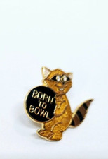 Pin raccoon born for sale  Rochester