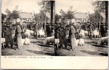 Scene animee marche d'occasion  France
