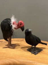 Vulture crow feather for sale  Landenberg