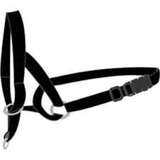 Collier chien tire d'occasion  Audenge