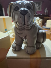 Thun cane mastino usato  Castrovillari