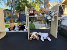 Beanie baby cats for sale  San Jose