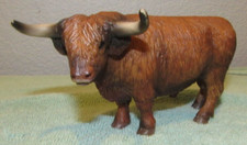 Scottish highland bull for sale  Newport
