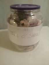 Lb. tub seashells. for sale  Herrin