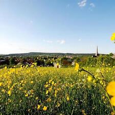 Altenkunstadt berfranken hotel gebraucht kaufen  Altenkunstadt