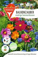 Sommerblumen balkonkasten misc gebraucht kaufen  Miltenberg