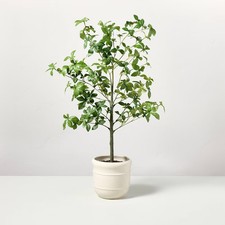 Faux potted gypsophila for sale  USA