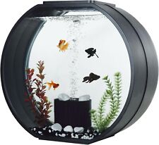 Fish fun deco for sale  COVENTRY