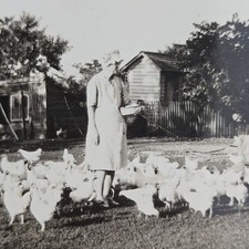 Vintage photo snapshot for sale  Blue Springs