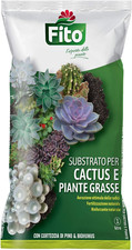 Substrato cactus terriccio usato  Roma