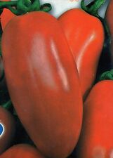 500 semi pomodoro usato  Roma