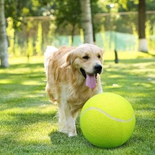 24cm hund tennisball gebraucht kaufen  Hamminkeln