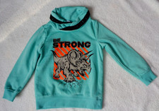 Kinder jungen sweatshirt gebraucht kaufen  Havelberg
