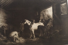 1901 antique print for sale  TORRINGTON