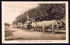 Romania Hermannstadt Hochzeitszug - Alai de nunta - Ochsenkarre Car cu boi 1917 comprar usado  Enviando para Brazil