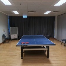tavolo ping pong garlando usato  Carrara