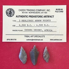 6548 lot neolithic for sale  Murfreesboro