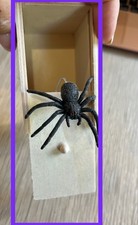 Spider box surprise.. for sale  BRISTOL