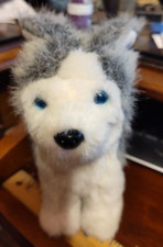 American girl dog for sale  Burley