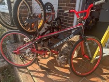 Redline racing mini for sale  BRIGHTON