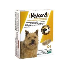 Vermifuge chien veloxa d'occasion  Bourges