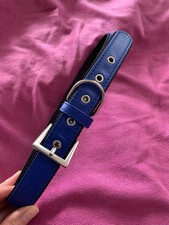 Large blue dog for sale  CRAWLEY