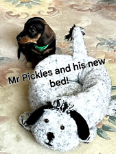 Cosy dog cat for sale  CHELMSFORD